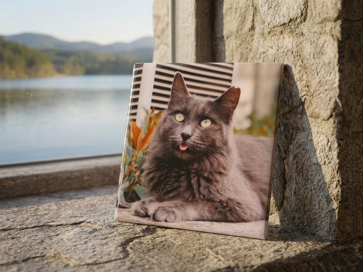Custom 2x2 Photo Magnets – Set of 9