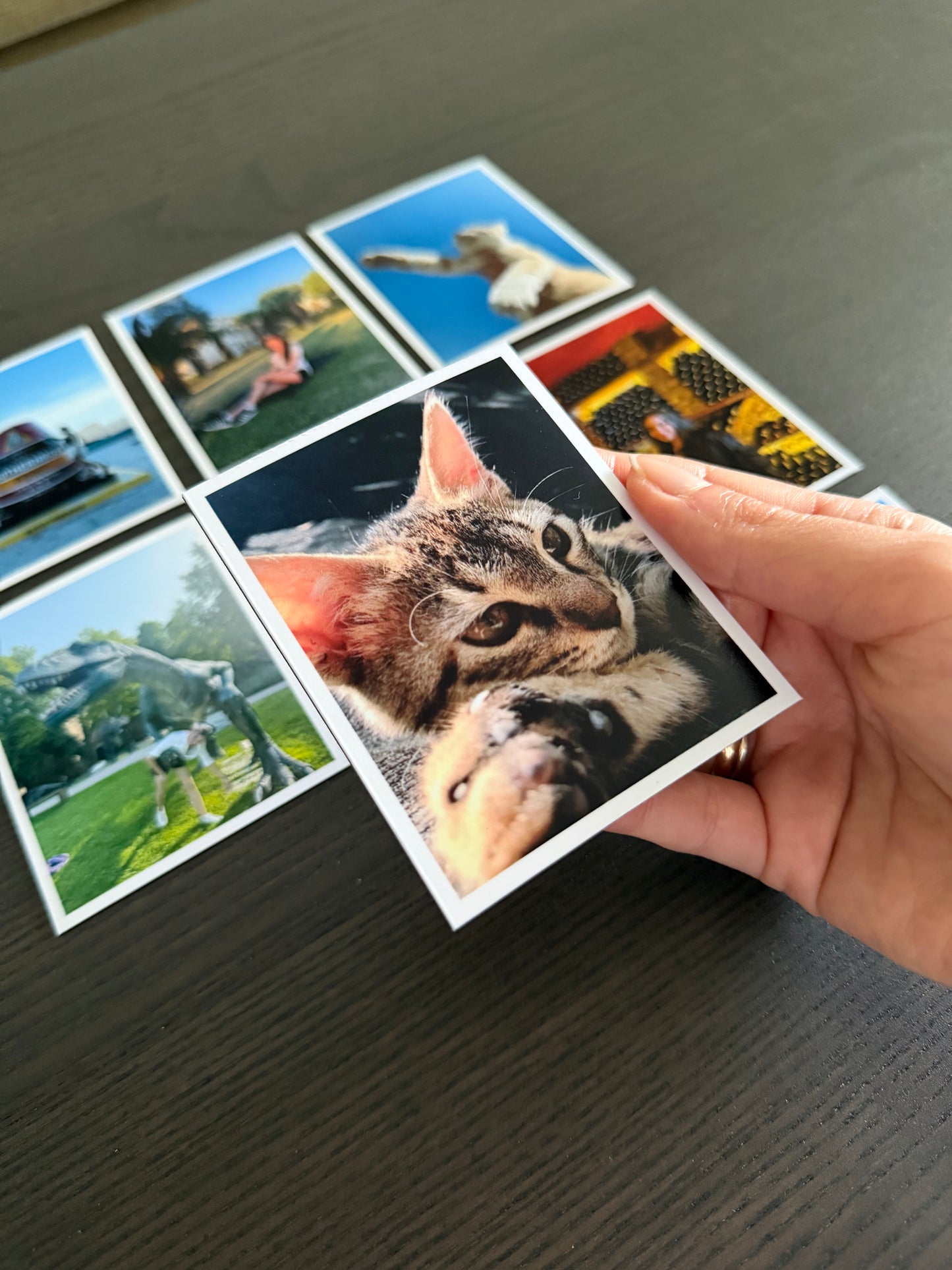 Modern Memory Flexible Magnet Set – 12 Photos